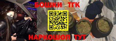 индика Можайск