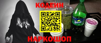 индика Можайск